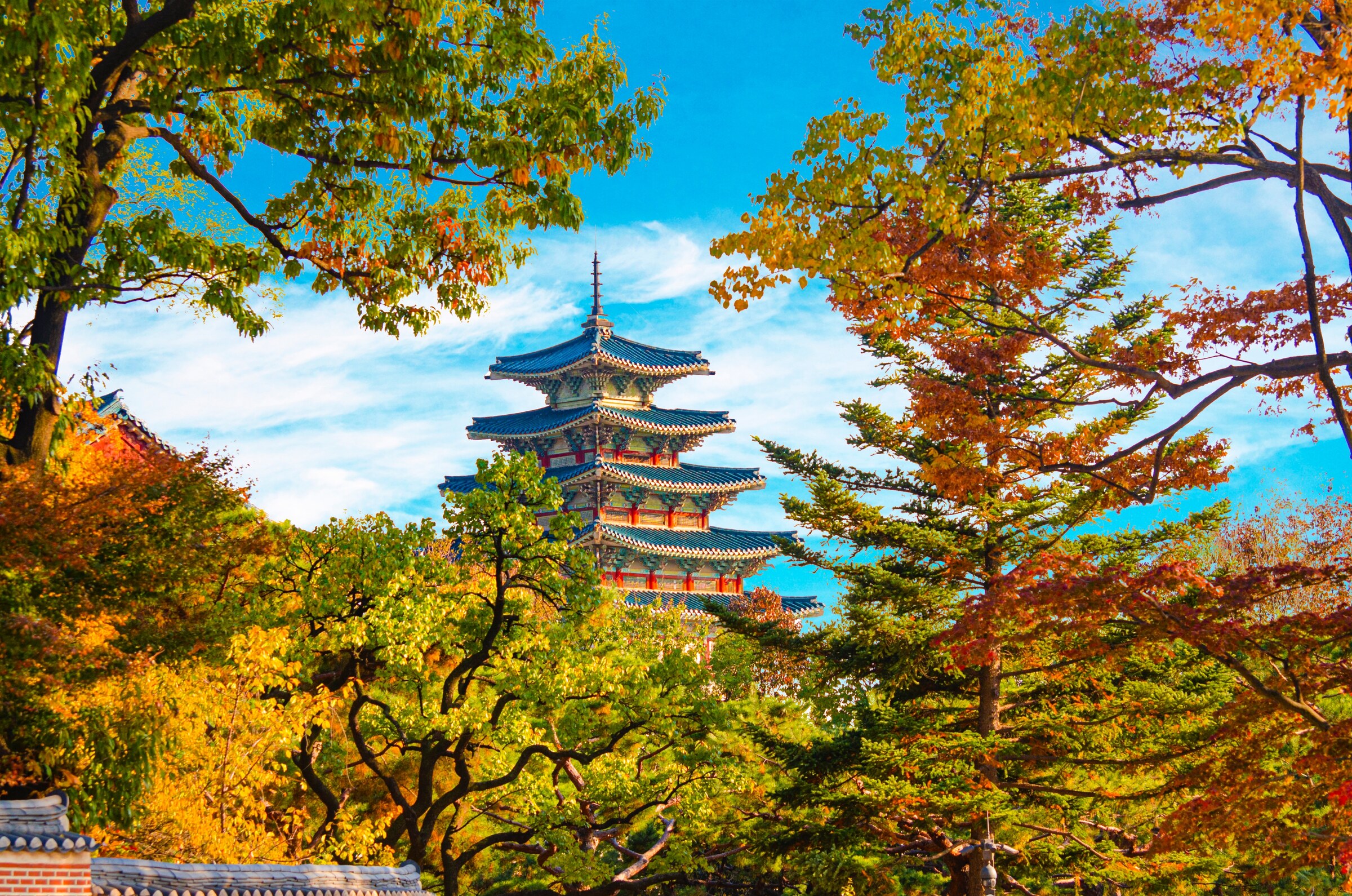 Autumn colors surrounding Korean palace architecture