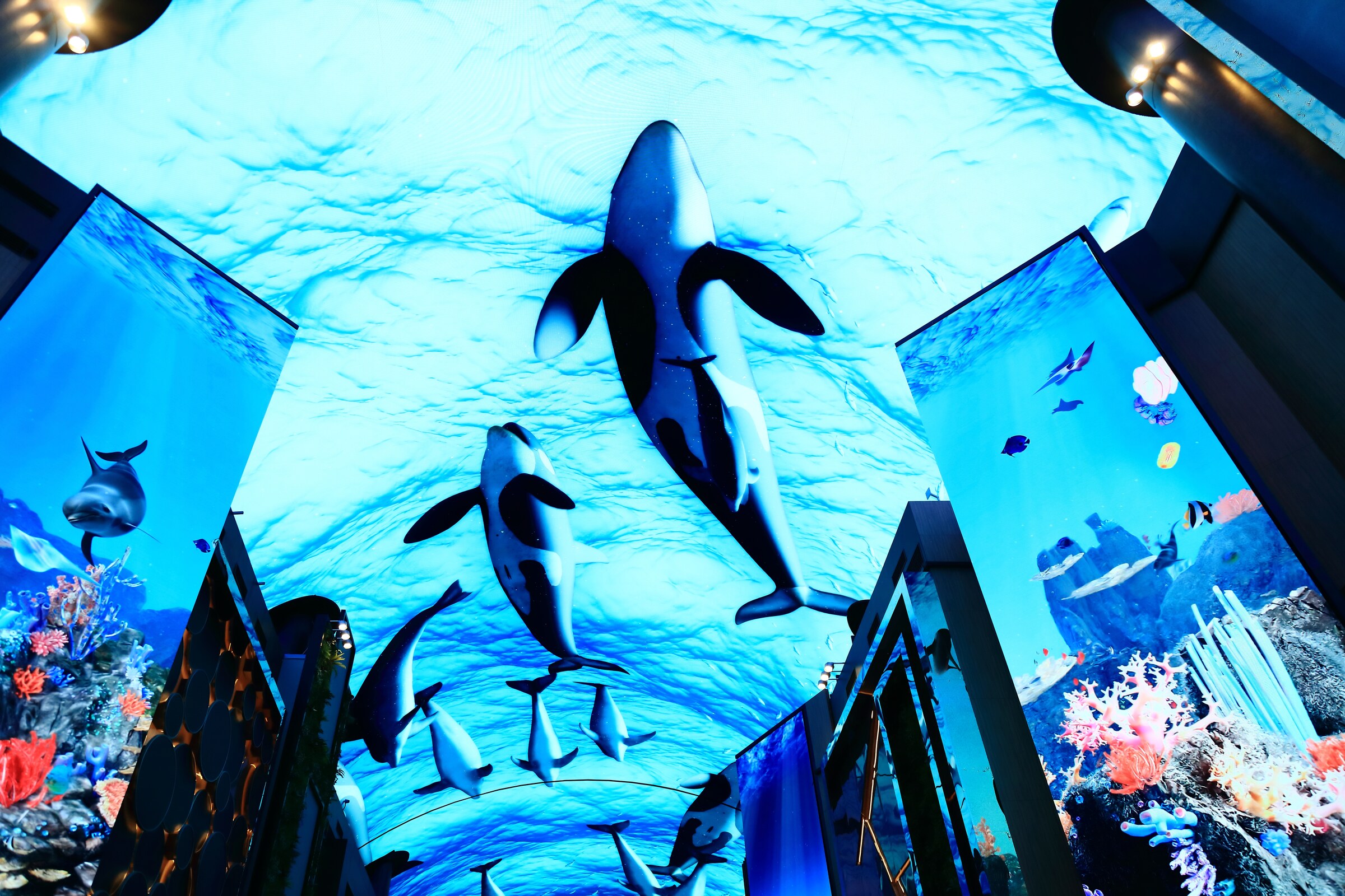 Immersive underwater digital art on the LED ceiling of the Aurora digital street